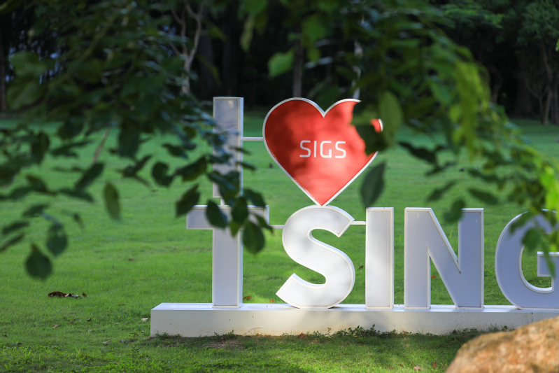I love SIGS